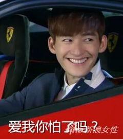 狗仔爆料张翰视频大全下载,张翰视频大全下载，精彩瞬间一网打尽